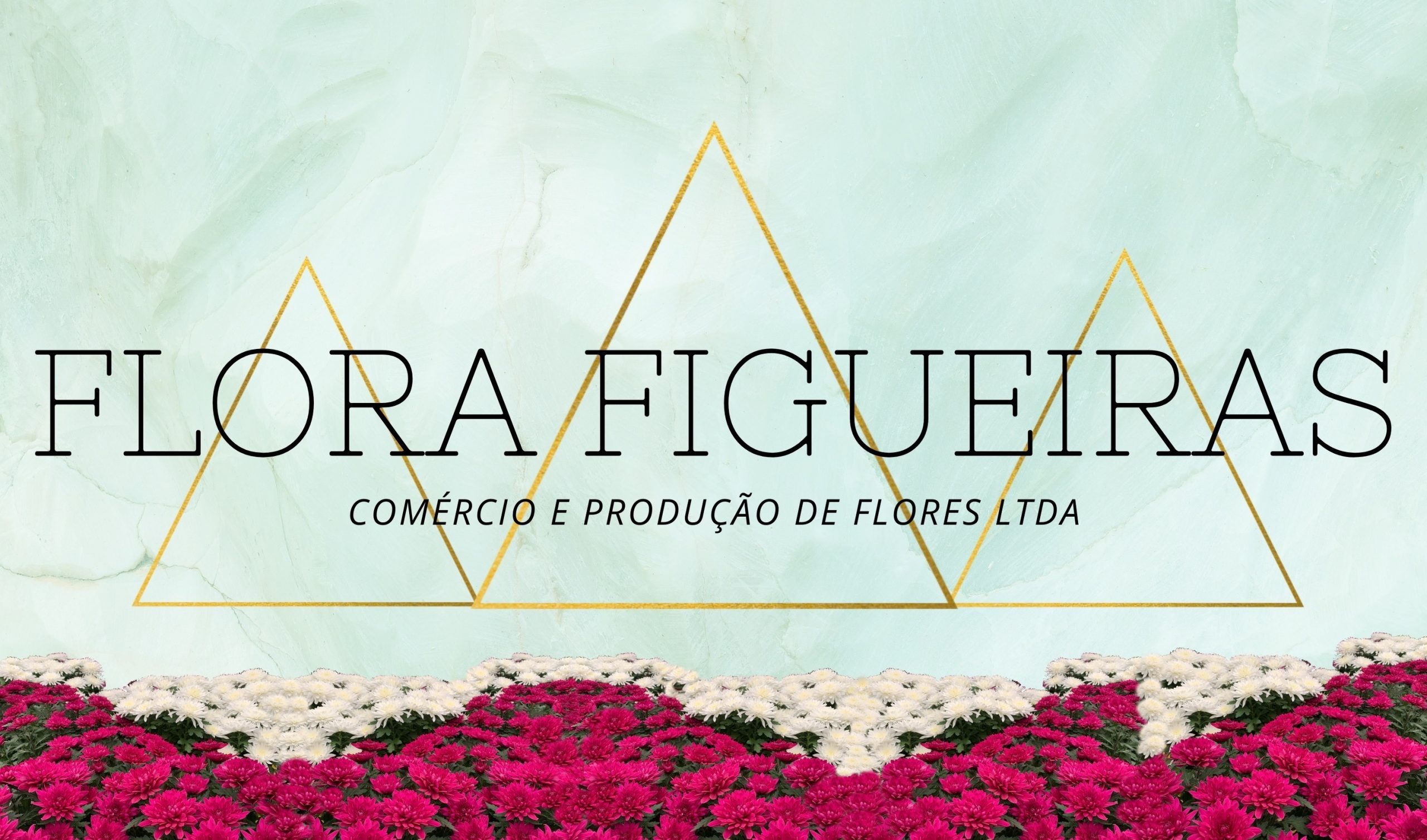 Flora Figueiras Comércio e Produção de Flores LTDA